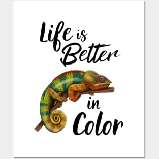 Chameleon Life Is Better In Color Posters and Art